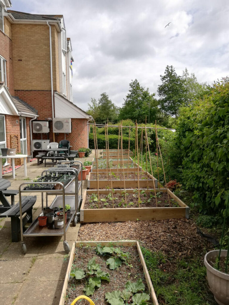 The CRUMBS Community Kitchen Garden (after)