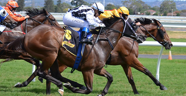 Charity Horse Racing Night